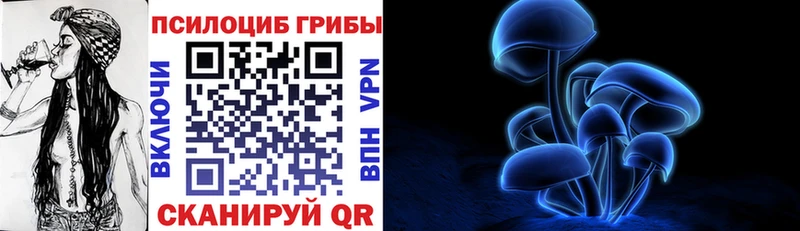 Купить закладки  Белинский  Псилоцибиновые грибы мицелий 